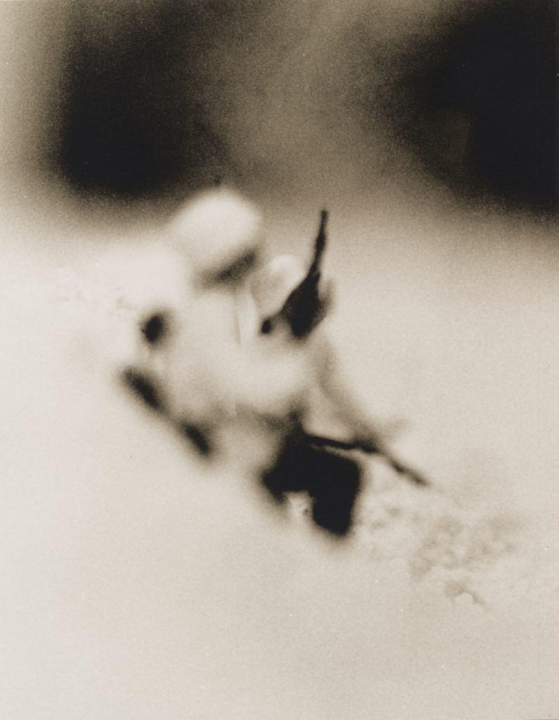 David Levinthal Hitler Moves East Mana Contemporary