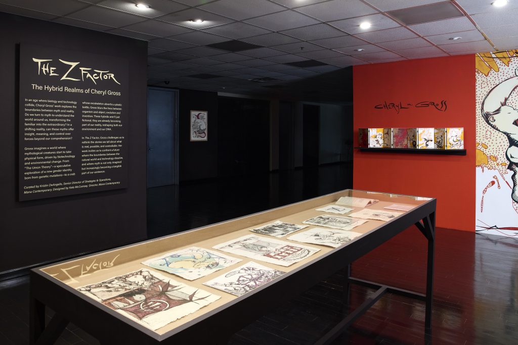 The Z Factor: The Hybrid Realms of Cheryl Gross - Mana Contemporary